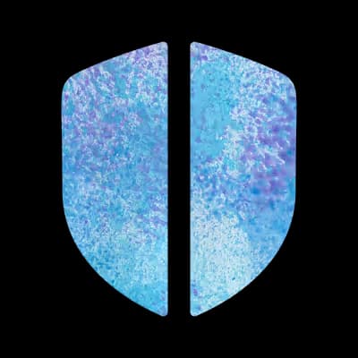 Shield icon